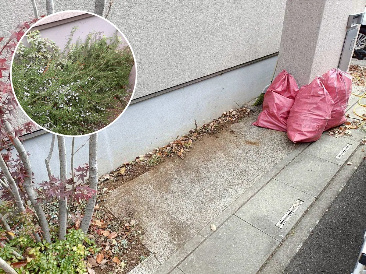 外構リフォーム工事施工前